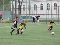IMG_4564